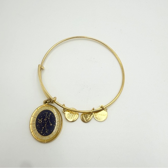 Alex and Ani Gold Celestial Wheel Scorpio Zodiac Charm Bangle Bracelet - Picture 3 of 7